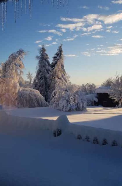 5501- Escapade en raquettes  sur le Mont Lozère