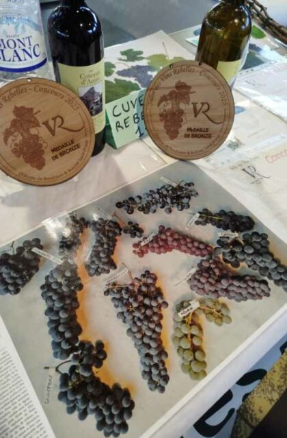 103- Les vieux cépages oubliés