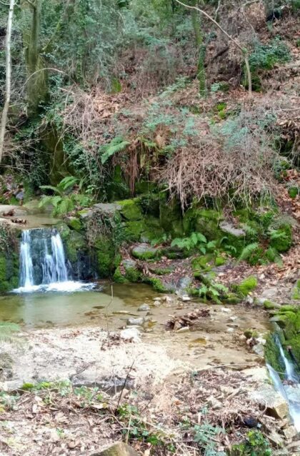 201 - Le sentier de Valescure :découvrez comment les hommes ont apprivoisé l'eau en Cévennes