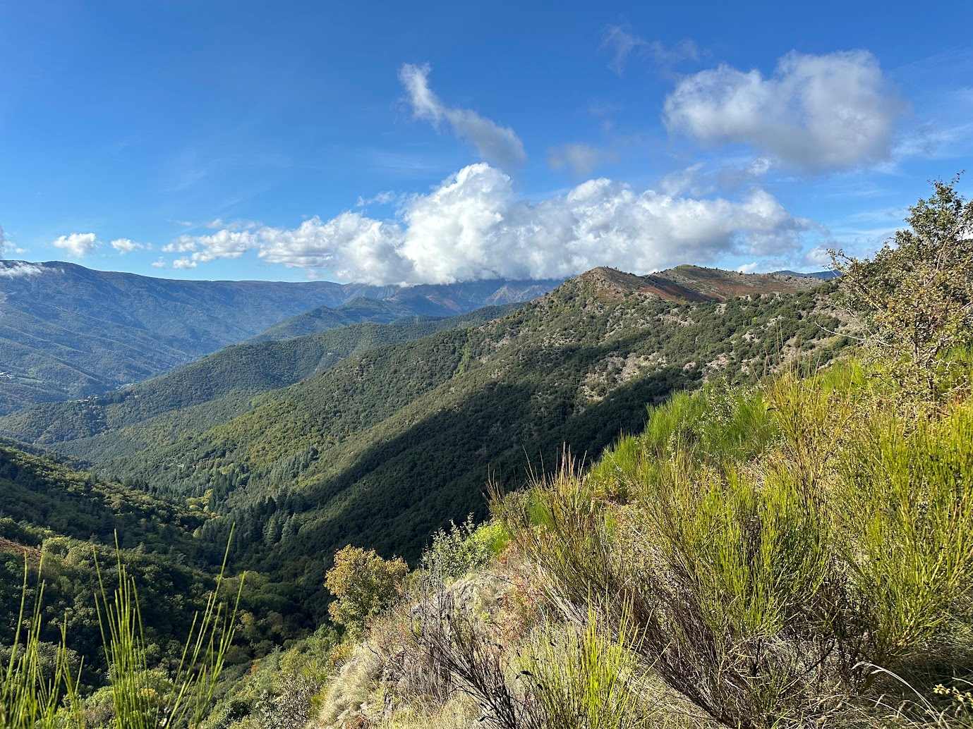 306-Le col de l'Asclié en passant par les 4 Jasses, le Chemin du Milieu et le col de l'Homme Mort – Image 3