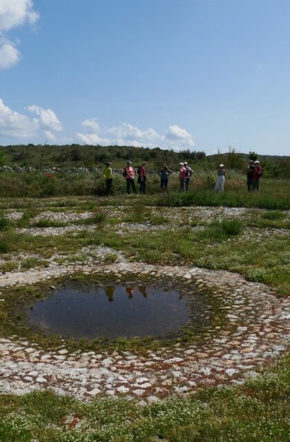 105-A la découverte de l'agropastoralisme méditerranéen et de ses paysages